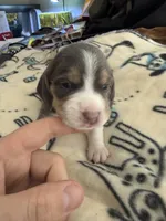 processed/6a80bf87-c5ba-45ab-a17d-706299f9d02f/listing/1e9c7076-fa51-418c-a515-7319f4d8554b/9a195761-7120-464e-b683-89c1dea9590d