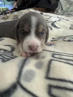 processed/6a80bf87-c5ba-45ab-a17d-706299f9d02f/listing/1e9c7076-fa51-418c-a515-7319f4d8554b/ddd7989b-b954-4319-84fc-845bec557188