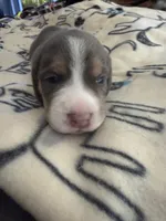 processed/6a80bf87-c5ba-45ab-a17d-706299f9d02f/listing/1e9c7076-fa51-418c-a515-7319f4d8554b/e65adddf-fbd2-4e57-a890-4c2b95680f92