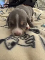 processed/6a80bf87-c5ba-45ab-a17d-706299f9d02f/listing/6f677f7b-5c2a-4811-9b0f-906bb6ae2bb1/21324df5-cdc8-46f5-bd7e-e2b87b1a905e