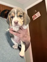 processed/6a80bf87-c5ba-45ab-a17d-706299f9d02f/listing/6f677f7b-5c2a-4811-9b0f-906bb6ae2bb1/358e4419-af71-47a6-b778-4f7add8a4b1c