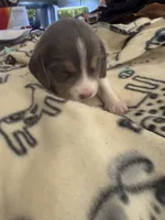 processed/6a80bf87-c5ba-45ab-a17d-706299f9d02f/listing/6f677f7b-5c2a-4811-9b0f-906bb6ae2bb1/9cb90851-93c6-431e-bba8-8915cbfb6f25