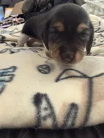 processed/6a80bf87-c5ba-45ab-a17d-706299f9d02f/listing/abfba23c-ec6b-43cc-a080-5d888e406235/970fa4be-669b-45ad-8b49-ff79e6c60578