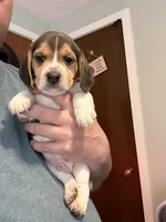 processed/6a80bf87-c5ba-45ab-a17d-706299f9d02f/listing/bd97cc9d-cc1f-4bd3-97e8-2acaed148be4/0346de92-751d-4cdb-93c3-46b3d48ecebe