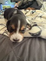 processed/6a80bf87-c5ba-45ab-a17d-706299f9d02f/listing/bd97cc9d-cc1f-4bd3-97e8-2acaed148be4/3407cfc4-eed3-46d4-a026-7a2e51f83631