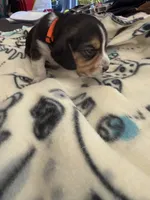 processed/6a80bf87-c5ba-45ab-a17d-706299f9d02f/listing/bd97cc9d-cc1f-4bd3-97e8-2acaed148be4/a31443f0-7acf-4a27-a124-9893a53cf844