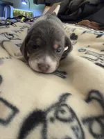 processed/6a80bf87-c5ba-45ab-a17d-706299f9d02f/listing/dac0d594-7da1-490f-895f-cedd6b106f8d/0de284cd-638c-4801-8cad-66d4aa5d8b5a