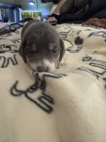 processed/6a80bf87-c5ba-45ab-a17d-706299f9d02f/listing/dac0d594-7da1-490f-895f-cedd6b106f8d/45100644-eb9a-49ed-a5af-bef2dc5864f8