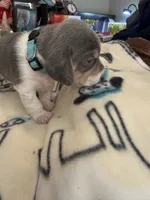 processed/6a80bf87-c5ba-45ab-a17d-706299f9d02f/listing/dac0d594-7da1-490f-895f-cedd6b106f8d/854f09d7-4bdb-45f8-bbb4-15cf4a0875ad