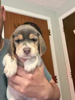 processed/6a80bf87-c5ba-45ab-a17d-706299f9d02f/listing/dac0d594-7da1-490f-895f-cedd6b106f8d/a8bec248-5204-45a3-95ff-2e9cbd8670fd