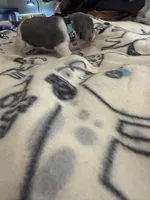 processed/6a80bf87-c5ba-45ab-a17d-706299f9d02f/listing/dac0d594-7da1-490f-895f-cedd6b106f8d/de8664b2-781e-40fb-855f-1992ab818c11