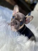 processed/6a810c49-b8aa-4978-b73c-26729950c22c/facility/2f246d4b-793e-4001-abd7-68d4911c5f0a