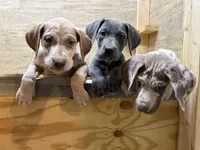 processed/6a810c49-b8aa-4978-b73c-26729950c22c/facility/36efd18b-e147-446f-8e87-719d16a80d77