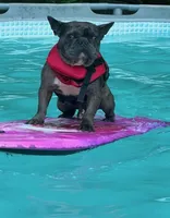 processed/6a810c49-b8aa-4978-b73c-26729950c22c/facility/3814a1ff-7872-4d7d-938b-19acffcc9711