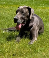 processed/6a810c49-b8aa-4978-b73c-26729950c22c/facility/3caf2158-1673-4e7c-8b6c-89b47ff87b99