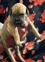 processed/6a810c49-b8aa-4978-b73c-26729950c22c/facility/578e8687-a49b-4b5a-a115-f5135fcdb174