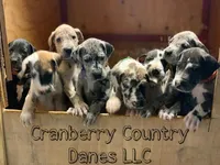 processed/6a810c49-b8aa-4978-b73c-26729950c22c/facility/bae2deb0-e09e-412d-8591-29e6b1bfa007