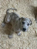 processed/6a810c49-b8aa-4978-b73c-26729950c22c/facility/d429b0fa-d1e7-4b91-b93c-e754f9d42fea