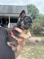 processed/6a810c49-b8aa-4978-b73c-26729950c22c/facility/d9fbb3a1-8f50-4740-8929-89a3698075f6