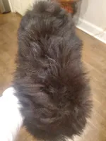 processed/6a87b045-a5fb-47f6-9a27-5941e4ff4fc9/listing/59c0578b-1fc3-4002-bf4e-438adade05bd/2604a615-d7bd-41c5-bf43-aeaa35161302