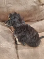 processed/6a87b045-a5fb-47f6-9a27-5941e4ff4fc9/listing/59c0578b-1fc3-4002-bf4e-438adade05bd/93854e00-23fb-4a5b-8dd2-f492011eebd0