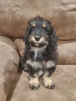 processed/6a87b045-a5fb-47f6-9a27-5941e4ff4fc9/listing/59c0578b-1fc3-4002-bf4e-438adade05bd/bdddd27b-c3b9-4ea1-a9a5-f205f1d3e6ea