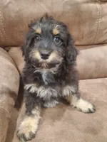 processed/6a87b045-a5fb-47f6-9a27-5941e4ff4fc9/listing/59c0578b-1fc3-4002-bf4e-438adade05bd/e1d9ca0c-e448-4d13-a6af-ced3a697a93f