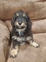 processed/6a87b045-a5fb-47f6-9a27-5941e4ff4fc9/listing/59c0578b-1fc3-4002-bf4e-438adade05bd/fa508477-2dfa-424c-a6d9-ec00d5679349