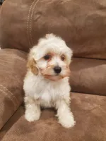 processed/6a87b045-a5fb-47f6-9a27-5941e4ff4fc9/listing/cd7d1d13-6f18-4589-8c84-9dfc43545342/1b00ddd8-e366-4521-aaff-acb2a218caca