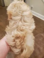 processed/6a87b045-a5fb-47f6-9a27-5941e4ff4fc9/listing/cd7d1d13-6f18-4589-8c84-9dfc43545342/c085e134-8a71-40ee-843a-141c27311e0e