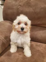 processed/6a87b045-a5fb-47f6-9a27-5941e4ff4fc9/listing/cd7d1d13-6f18-4589-8c84-9dfc43545342/c42639da-453d-42bd-ba20-c68bb153956a