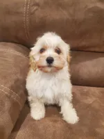 processed/6a87b045-a5fb-47f6-9a27-5941e4ff4fc9/listing/cd7d1d13-6f18-4589-8c84-9dfc43545342/d0fc002e-38b4-4d79-80f9-47943867dca3