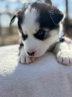 processed/6a9f6a0a-5452-49de-ac98-4582f817cc30/listing/10272e16-d3a6-4f9a-babd-97e16f841990/6dff477e-d79f-4a45-b35b-b3b91cf6bdd1