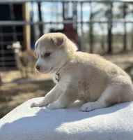 processed/6a9f6a0a-5452-49de-ac98-4582f817cc30/listing/f0327479-1479-44b9-bca1-fb81d707e495/43387902-2ca8-4e32-b006-e985030513b7