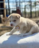 processed/6a9f6a0a-5452-49de-ac98-4582f817cc30/listing/f0327479-1479-44b9-bca1-fb81d707e495/6a8da43e-8f13-49c7-a245-384495b66c07