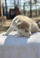 processed/6a9f6a0a-5452-49de-ac98-4582f817cc30/listing/f0327479-1479-44b9-bca1-fb81d707e495/7a21dc53-dcdd-43ae-85dd-36075a0702ed