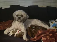 processed/6aa22b0a-e1ce-42bd-94bf-e75afb854752/facility/2307e300-aead-4246-8b44-9fc2168602b3