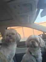 processed/6aa22b0a-e1ce-42bd-94bf-e75afb854752/facility/a2adce4e-c346-4ebc-bb95-a9367ff1138d