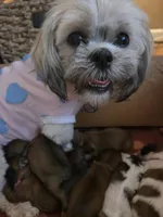 processed/6aa22b0a-e1ce-42bd-94bf-e75afb854752/facility/d1cabc82-94fa-4954-98fb-9956ce7f1fc5