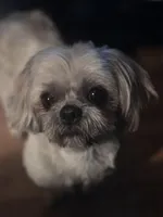 processed/6aa22b0a-e1ce-42bd-94bf-e75afb854752/facility/e7c72c75-eb5a-45e1-9d72-764f3e36e480