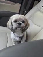 processed/6aa22b0a-e1ce-42bd-94bf-e75afb854752/facility/f797b1d0-5dcc-4d44-9584-3ba9bdd036d6