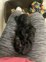 processed/6aa6818e-338e-410d-bd20-77fe799e2de3/listing/bb9a7a82-0047-43a5-9c3c-3c5c60411387/0c25331c-111e-455b-a7aa-9e813afcfa3b