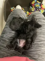 processed/6aa6818e-338e-410d-bd20-77fe799e2de3/listing/bb9a7a82-0047-43a5-9c3c-3c5c60411387/76d3fcba-151f-464f-8a76-251446942440