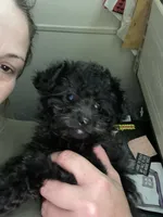 processed/6aa6818e-338e-410d-bd20-77fe799e2de3/listing/bb9a7a82-0047-43a5-9c3c-3c5c60411387/e8b3bf36-3d09-438c-8f68-6efdb4be7d21