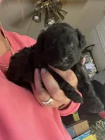 processed/6aa6818e-338e-410d-bd20-77fe799e2de3/listing/bb9a7a82-0047-43a5-9c3c-3c5c60411387/f26e5c9b-0306-4fdb-bbfe-f7714b1a7d98