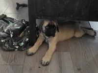 processed/6ab30cbb-979f-4669-9ccf-59dcccaf706d/listing/911b84cc-1069-41da-949f-efded07be190/2869ddfb-e69a-4a06-b62e-c914254bec29