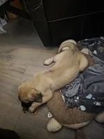 processed/6ab30cbb-979f-4669-9ccf-59dcccaf706d/listing/911b84cc-1069-41da-949f-efded07be190/475a2cac-c684-4cac-b448-6fe0d1469b57