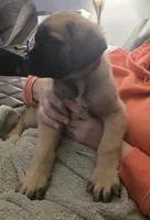 processed/6ab30cbb-979f-4669-9ccf-59dcccaf706d/listing/911b84cc-1069-41da-949f-efded07be190/614ded96-2777-4436-ba4a-36437e3ceeb3