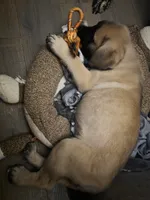 processed/6ab30cbb-979f-4669-9ccf-59dcccaf706d/listing/911b84cc-1069-41da-949f-efded07be190/6ab231de-47a5-432d-bb6a-bc24a3452d00