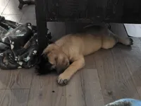 processed/6ab30cbb-979f-4669-9ccf-59dcccaf706d/listing/911b84cc-1069-41da-949f-efded07be190/7d152d7c-308f-4ac6-bbcf-9df5704d6c04